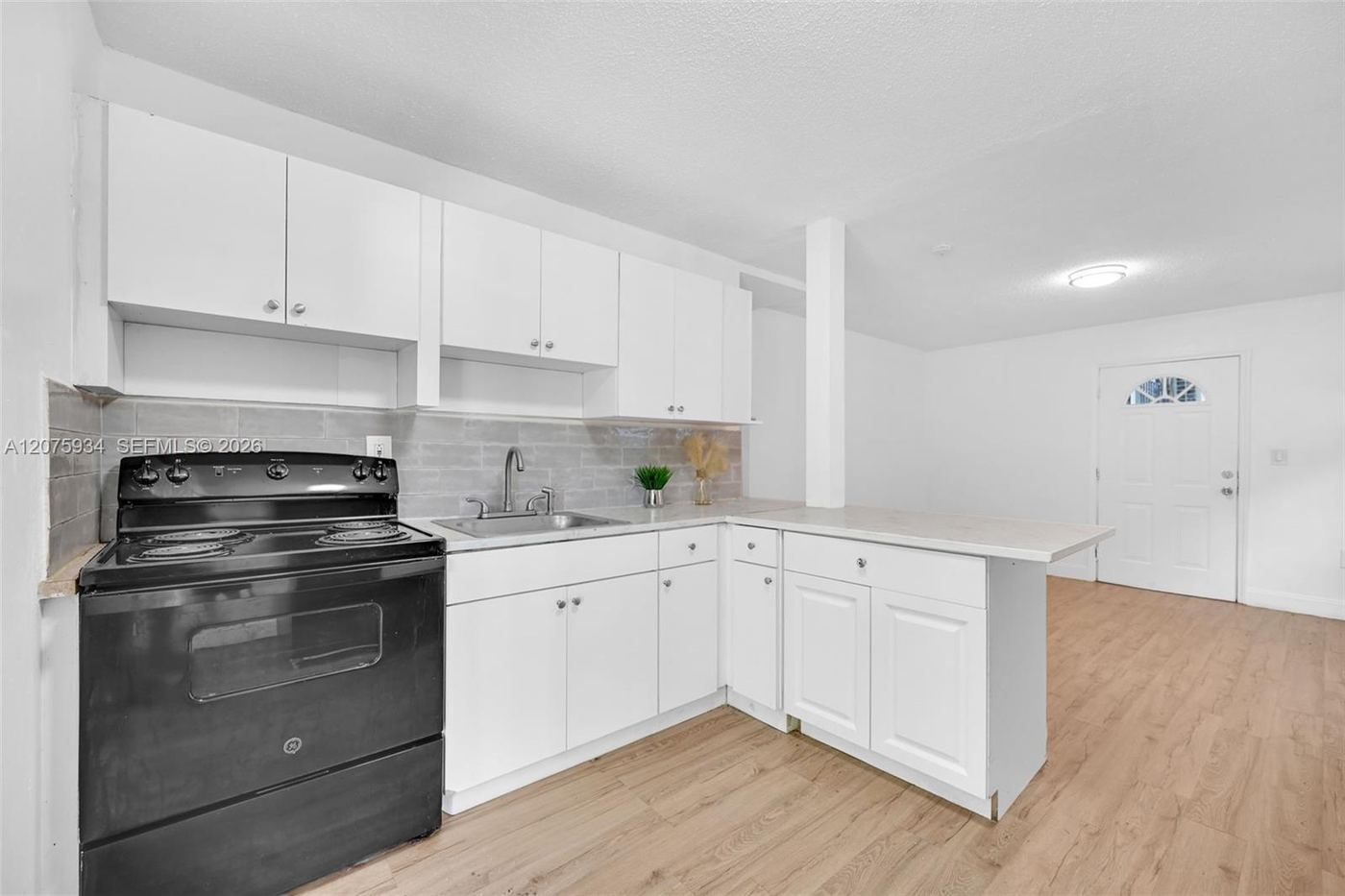 Open kitchen and living area